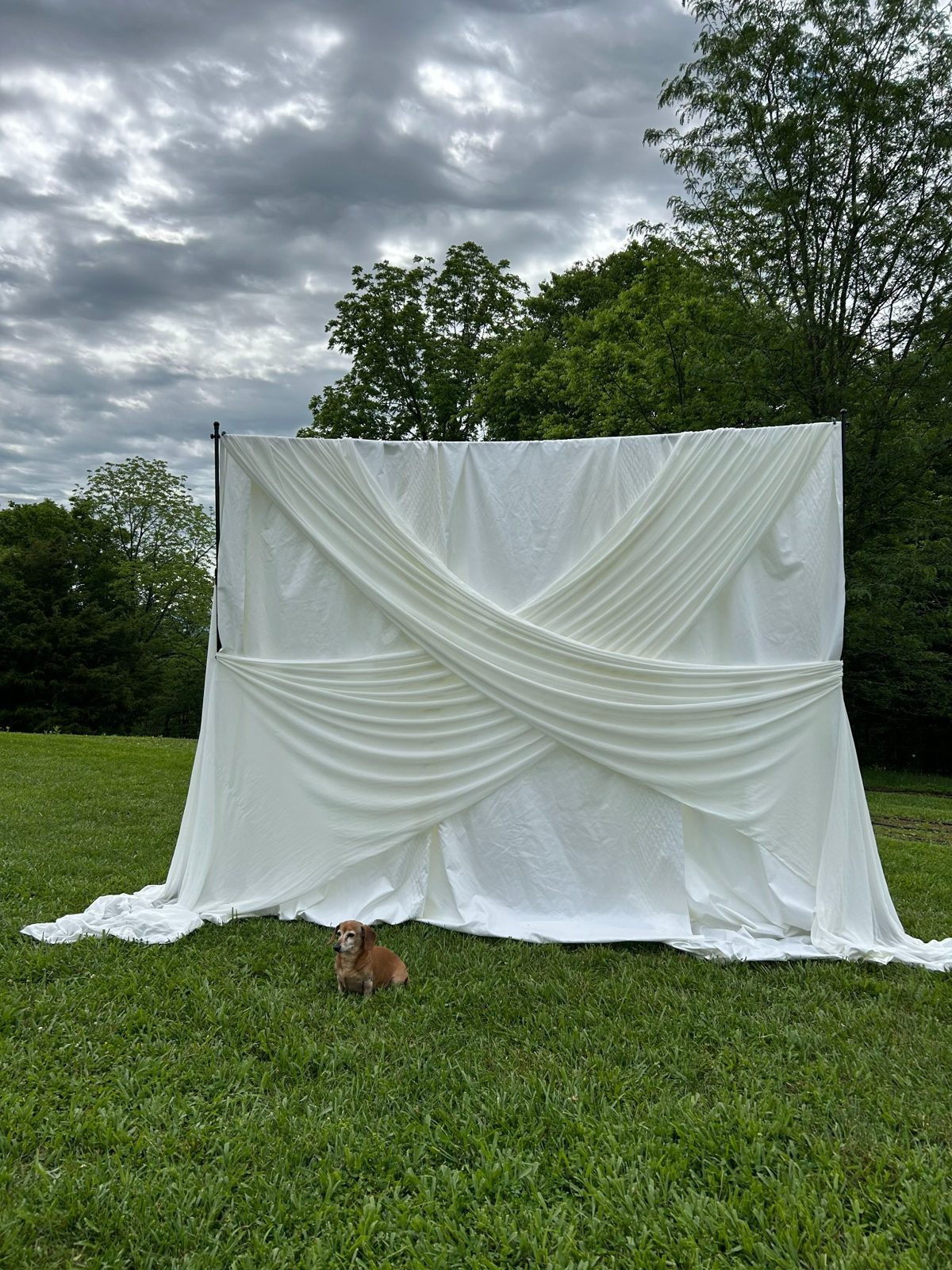 Draped white backdrop on the lawn